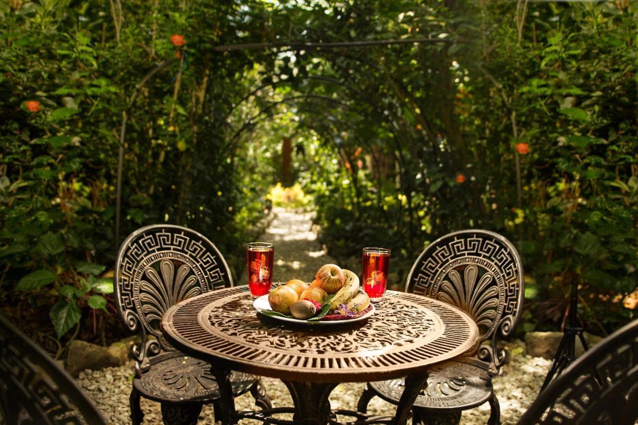 Villa Itchimbia Garden Ayampe Montana Y Mar Exterior foto